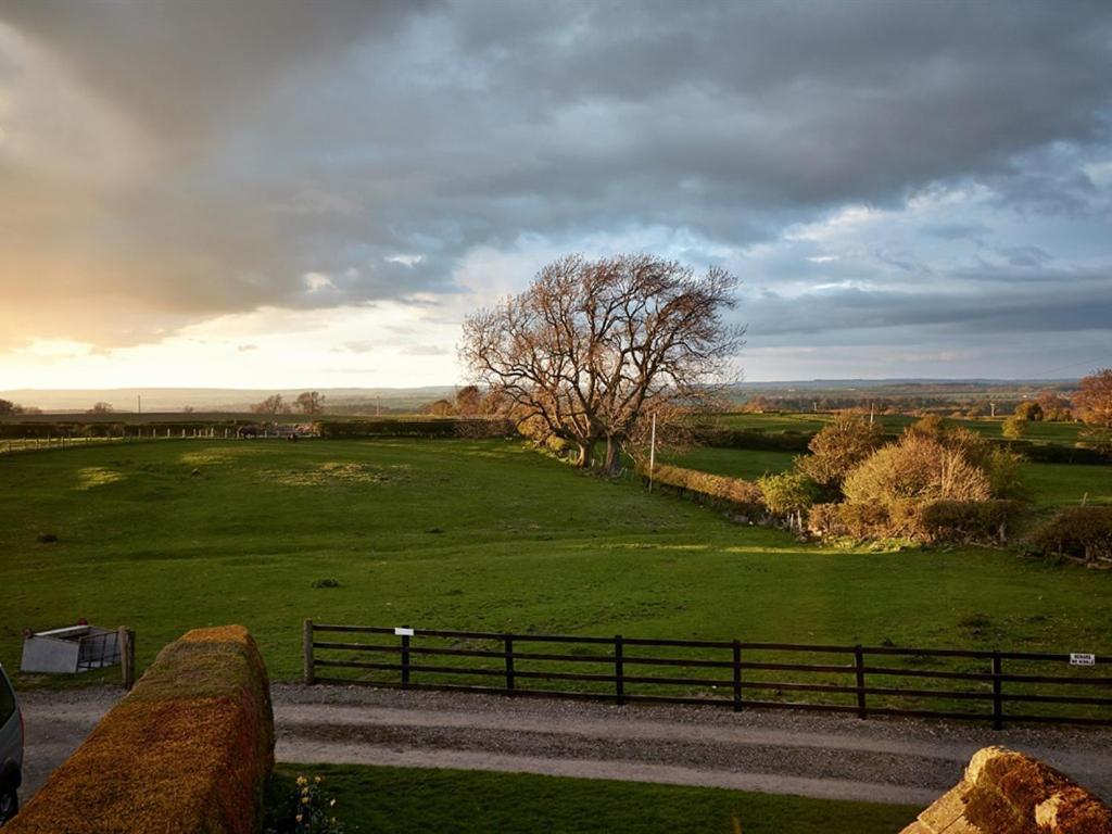 Lily Hill Farm Bed & Breakfast Barnard Castle Dış mekan fotoğraf