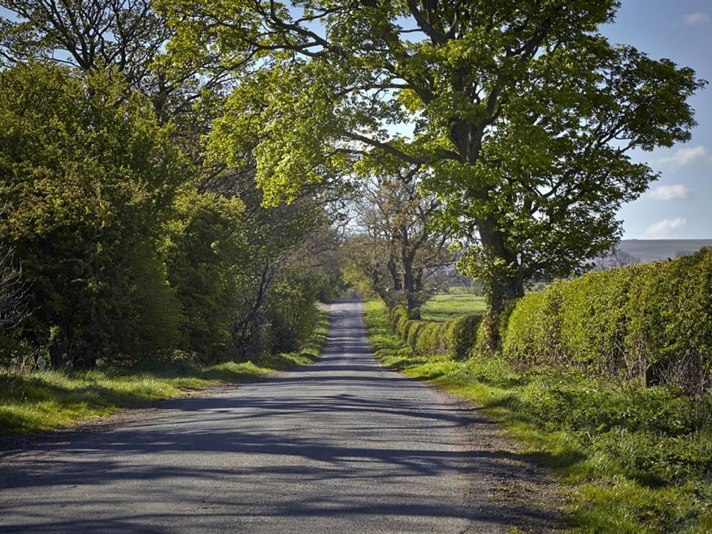 Lily Hill Farm Bed & Breakfast Barnard Castle Dış mekan fotoğraf