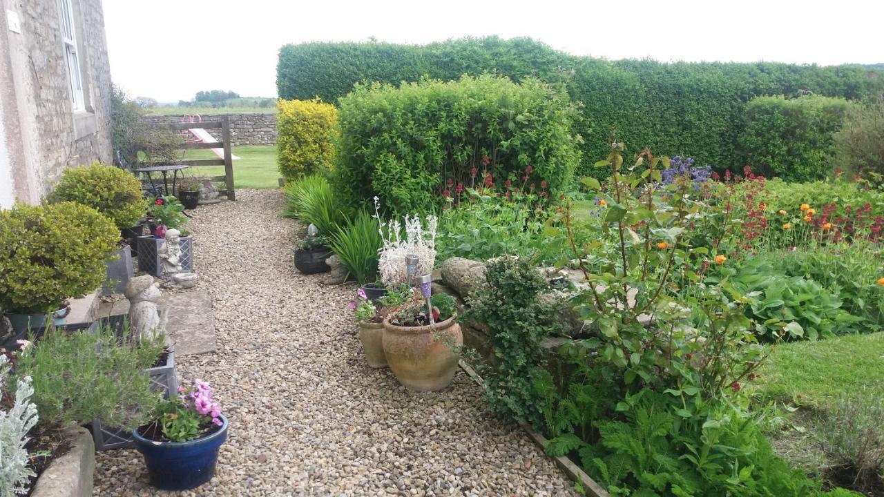 Lily Hill Farm Bed & Breakfast Barnard Castle Dış mekan fotoğraf