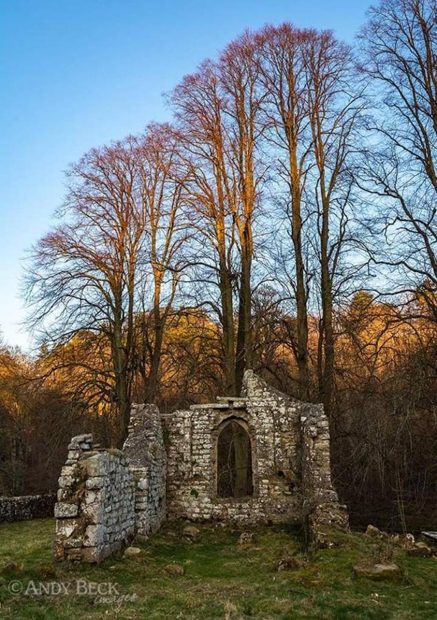Lily Hill Farm Bed & Breakfast Barnard Castle Dış mekan fotoğraf