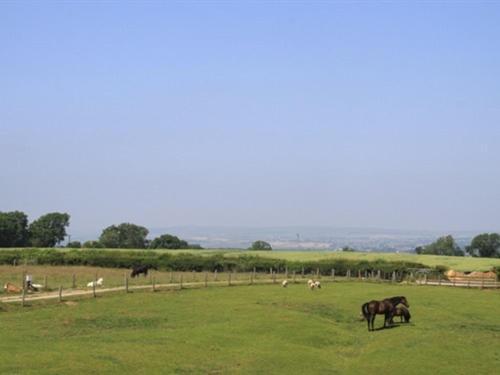 Lily Hill Farm Bed & Breakfast Barnard Castle Dış mekan fotoğraf
